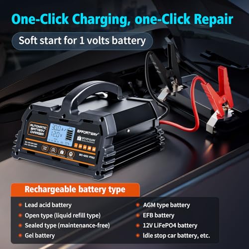 30A Battery Charger, 12V/24V Lead Acid, 12V LiFePO4. Smart Battery Charger with Trickle Charge. Car Battery Maintainer with LCD Display. Suitable for Trucks, Motorcycles - size: 30A