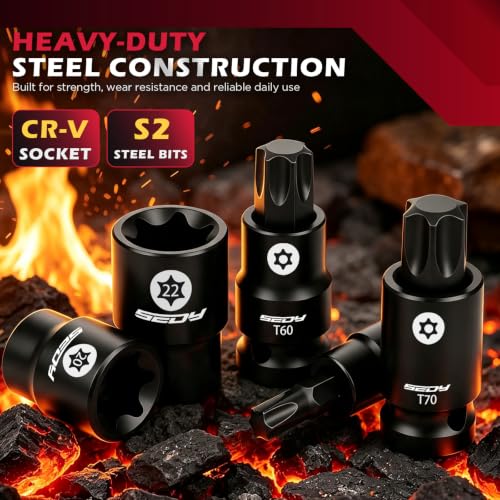 54-Piece Master Torx Bit Socket Set, T8-T70 Star Bits and E4-E24 E-Torx Sockets, Ratchet Wrench, 1/4" Bit Holder, S2 Steel Bits, CR-V Sockets, Extension Bars and Adapters for Auto Repair - style: 54-Piece Master Torx Socket Set(New Version)