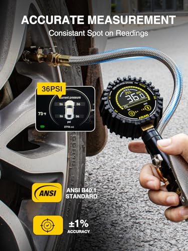 Digital Tire Inflator Gauge 255 PSI, Heavy Duty Tire Pressure Gauge with Air Chuck, Steel Braided Hose, Quick Connect Coupler & Case for Truck RV Trailer - size: 255PSI For Truck / RV