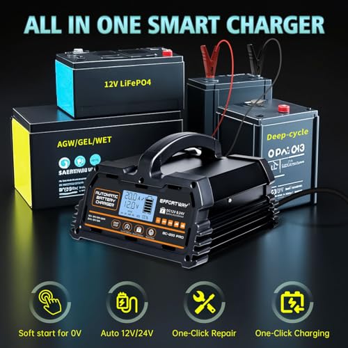 20A 12V/24V Battery Charger,Lead Acid Charger, 12V LiFePO4 Charger. Smart Battery Charger with Trickle Charge.Car Battery Maintainer with LCD Display. Suitable for Trucks,AMG,Motorcycles - size: 20A