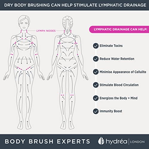 Hydrea London Dry Body Brush Long Handled Exfoliating Skin Brush with Vegan Cactus Bristle, Dry Brush Cellulite Remover, Exfoliating Body Scrubber, Improve Lymphatic Drainage FSC® Certified Beechwood.