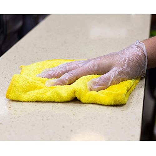 Karat [XL - 1,000 ct] Clear Vinyl Disposable Gloves, Powder-Free, Great Fit, Tear-Resistant for Multi-Purpose (FP-GV1009)