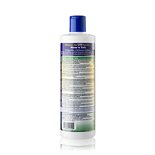 Mane 'n Tail Repair 'n Strengthen Shampoo with Cucumber, Aloe & Biotin (20 Oz) | Sulfate-Free, Paraben-Free, Vegan Formula to Strengthen, Repair & Promote Healthy Hair Growth