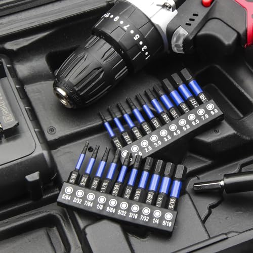 HPHOPE Impact Hex Head Allen Wrench Drill Bit Set 20 Pcs - 2"(Metric&SAE) | Premium S2 Steel, CNC Machined Tips wit Magnetism, Storage Box, 1/4" Hex-Shank for Automotive and Home Repairs - size: 50 mm, 20 Pcs, Metric&SAE