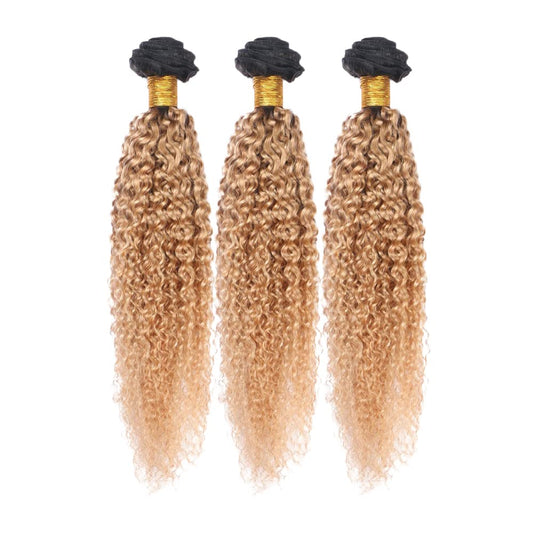 Honey Blonde Bundles Human Hair Ombre Kinky Curly Human Hair Bundles 8A Grade Brazilian Unprocessed Virgin Remy Hair 3 Bundles 14 16 18 Inch Blonde Wet and Wavy Bundles Hair Extensions
