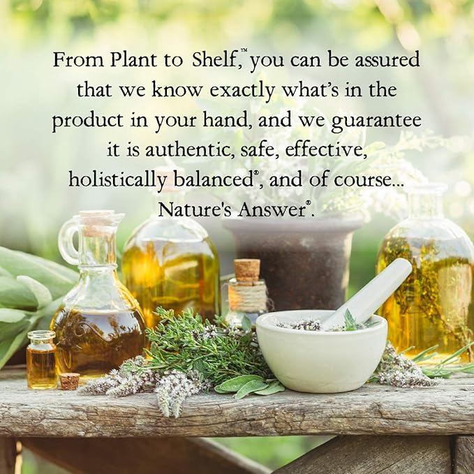 Nature's Answer Sambucus Dietary Supplement, Original for Daily Immune and Antioxidant Support | Made in The USA | Alcohol-Free, Gluten-Free & Vegan 4oz (Pack 1)