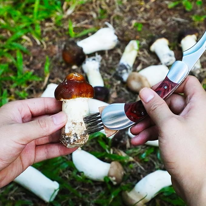 Mushroom Foraging Knife - Folding Knife with Brush and Sheath for Mushroom Lovers